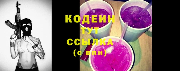 apvp Снежинск