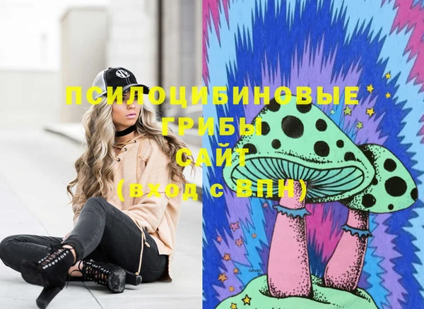 apvp Снежинск