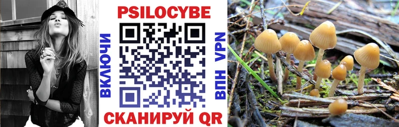 Галлюциногенные грибы MAGIC MUSHROOMS  Купить где  Переславль-Залесский 