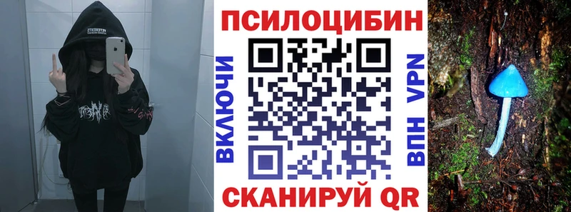Галлюциногенные грибы Psilocybine cubensis Переславль-Залесский